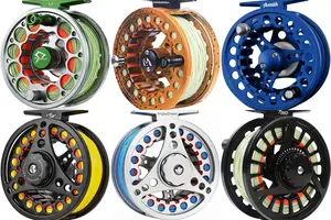 5 Best Fly Fishing Reels for [Year]