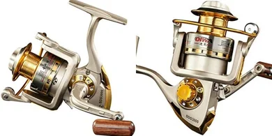 Diwa Spinning Reels: Versatile, Smooth, Interchangeable for Salt/Freshwater.
