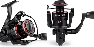 KastKing Brutus: Graphite Spinning Reel, 5.2:1 Gear Ratio, 4+1BB