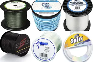 Top 5 100lb Fishing Lines