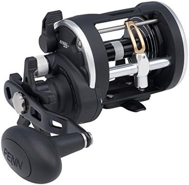 Penn Rival Levelwind Reel
