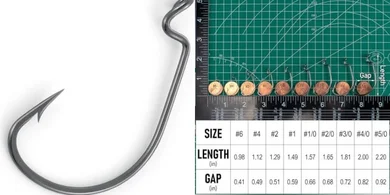 Dr. Fish EWG Offset Worm Hooks (100-Pack) for Bass