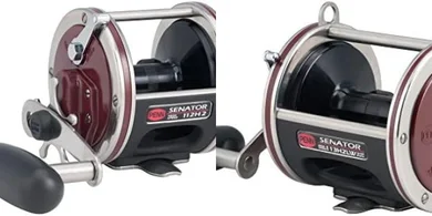 Penn Senator Star Drag Reel
