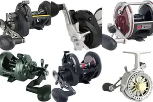 5 Best Star Drag Fishing Reels for [Year]