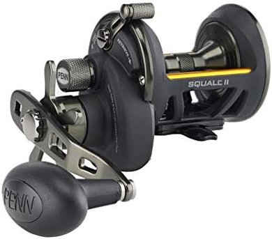 Penn Squall II Star Drag Reel